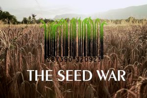 seedwar