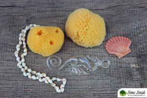 menstruacni-houba-intim-S-M