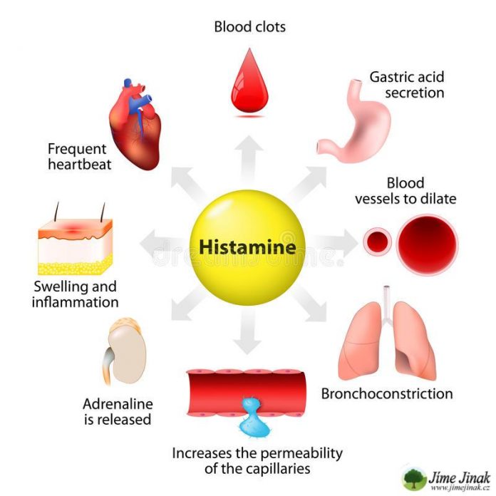 Jak se zbavit histaminové intolerance?