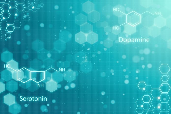 hormony, které pomáhají pocitu štěstí, serotonin a dopamin