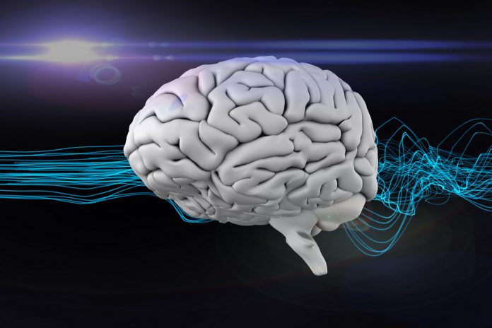 Grafika mozku a jeho signálů